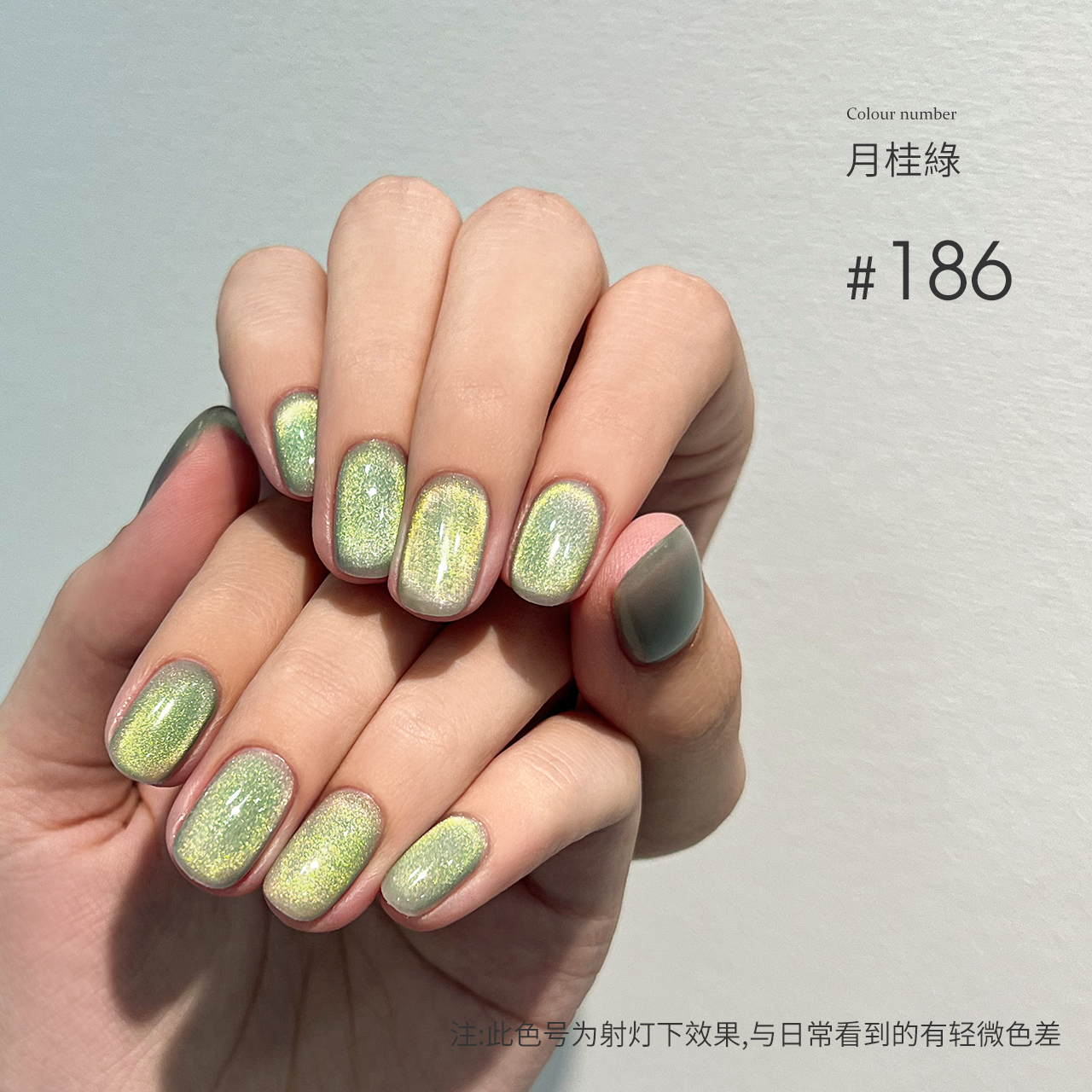Moding Cat Eye Gel 60 Colors
