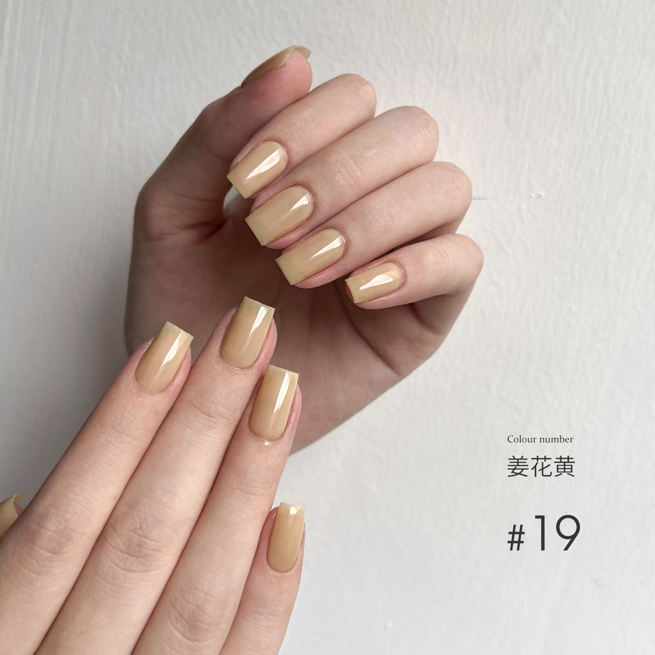 Moding“无”系列彩色凝胶1-100