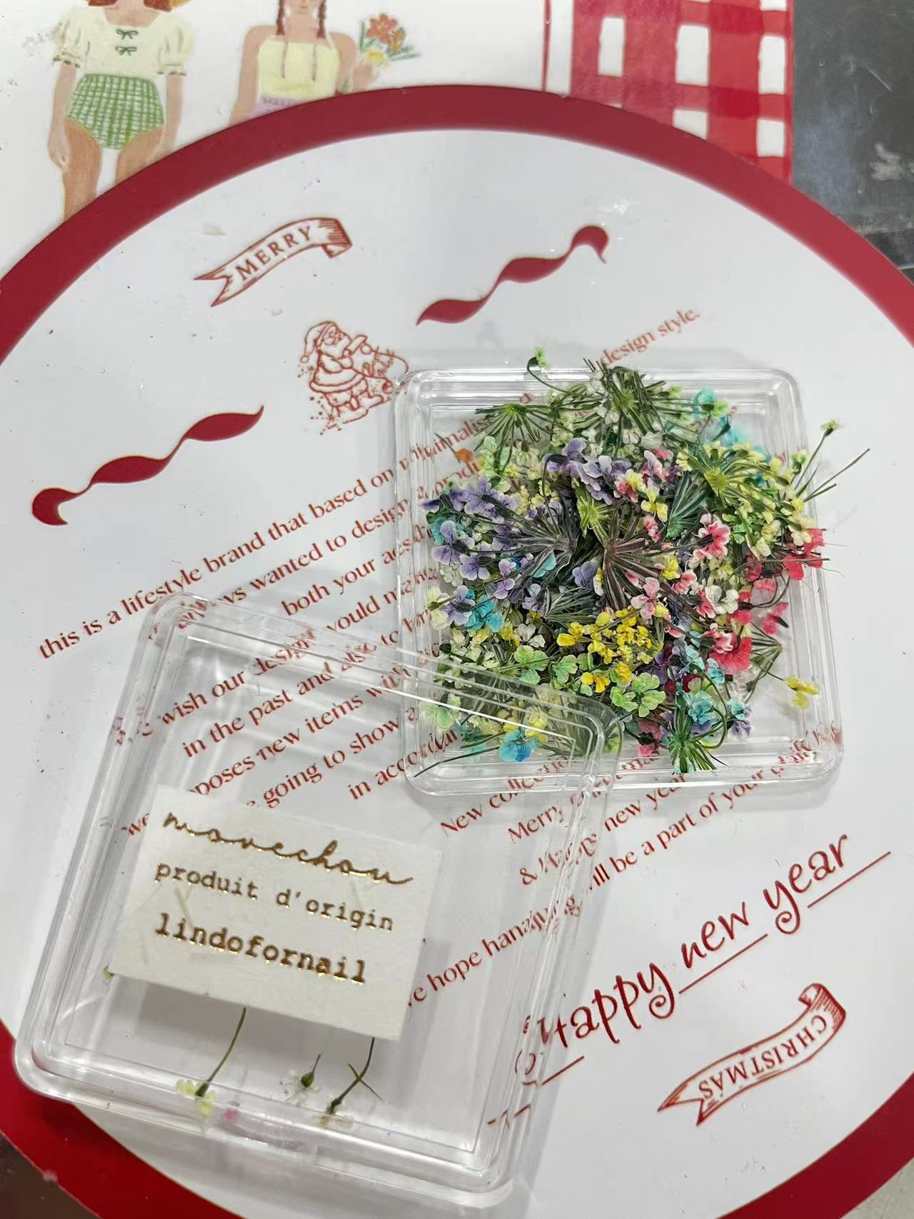 Dried Small Lace Flower Nail Decoration