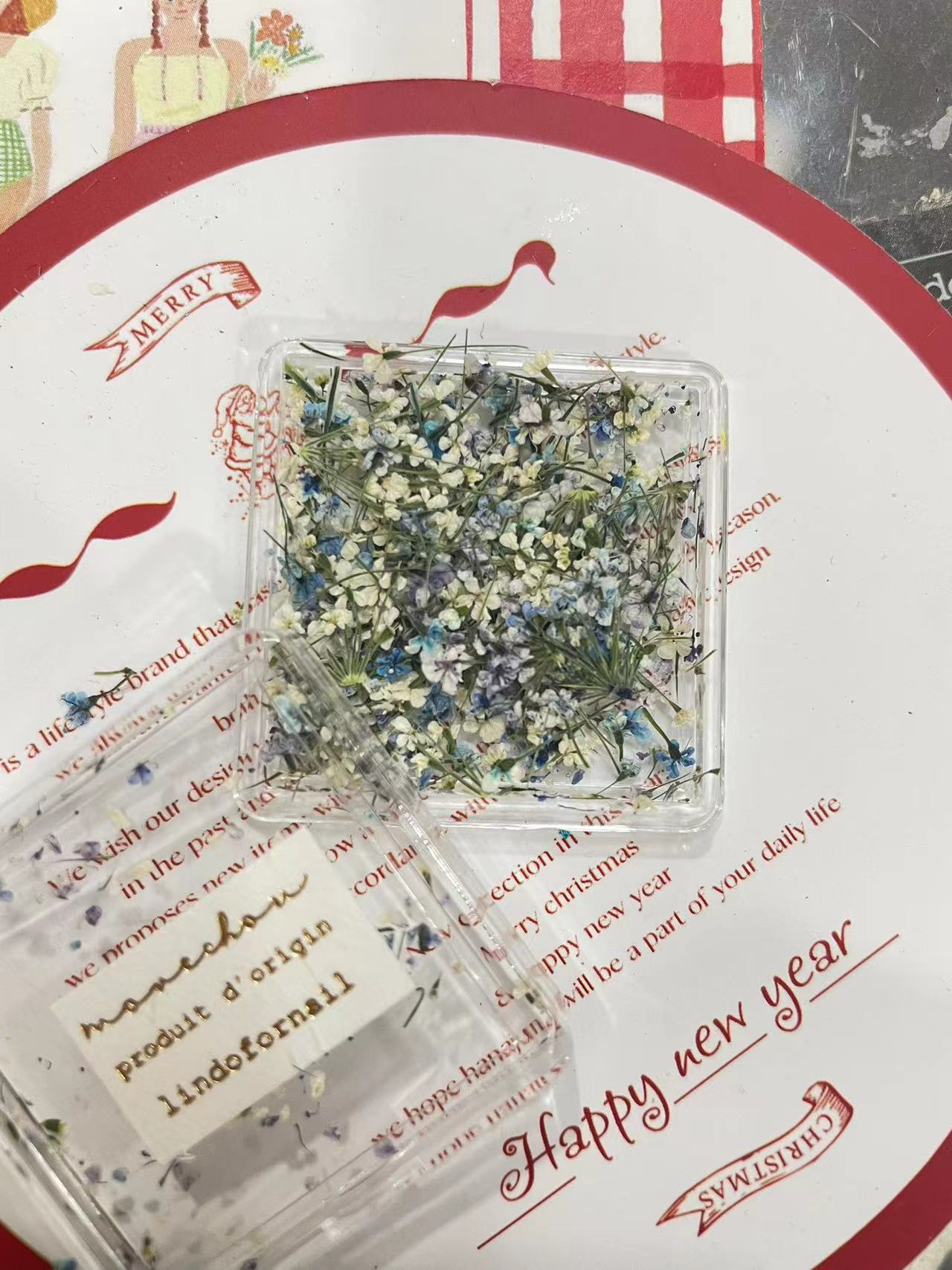 Dried Small Lace Flower Nail Decoration
