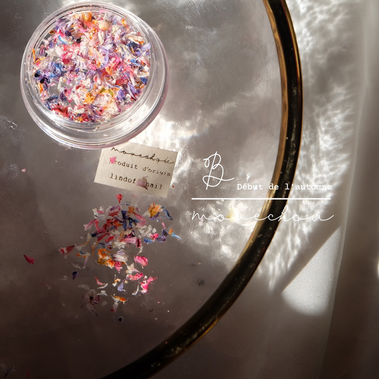 Colorful Mixed Dried Flower Nail Decorations