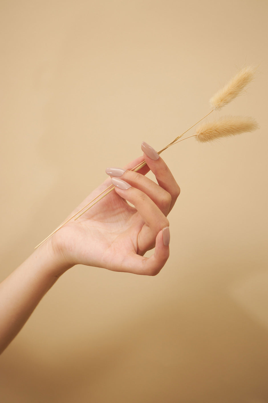 YollyNail 瓶装彩色凝胶 82