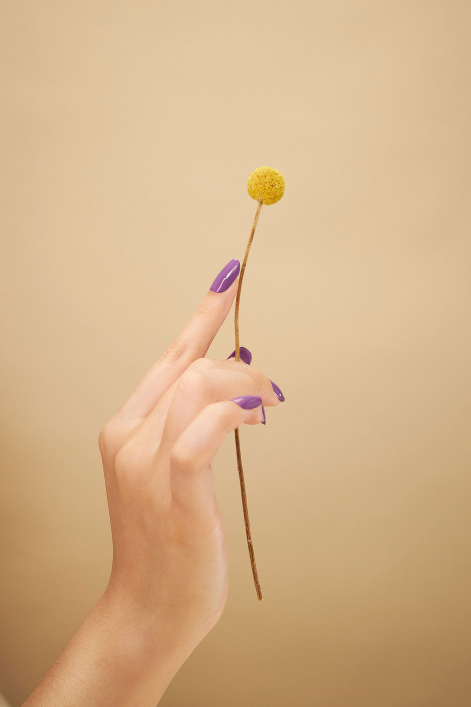 YollyNail 瓶装彩色凝胶 82