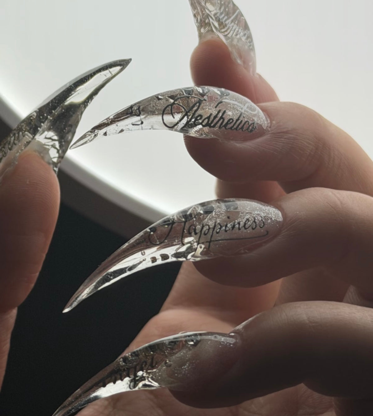N GEL Long Claw Dual Forms – Nail Extension Molds