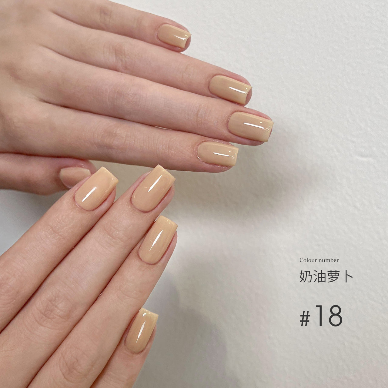 Moding“无”系列彩色凝胶1-100