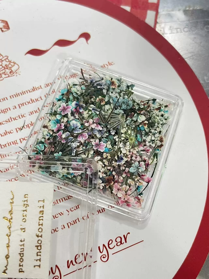 Dried Small Lace Flower Nail Decoration