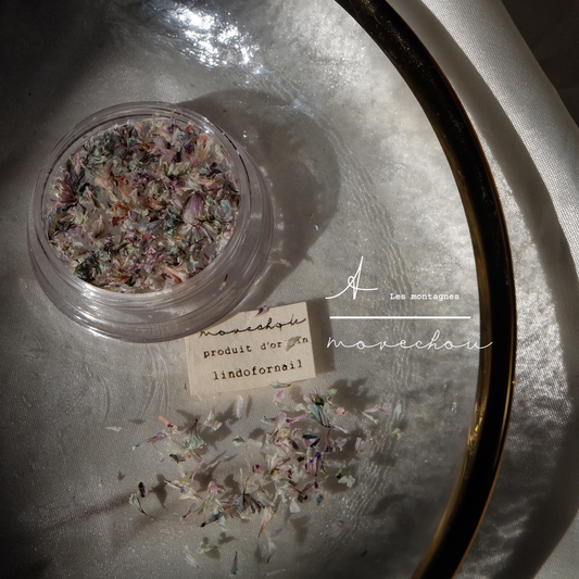 Colorful Mixed Dried Flower Nail Decorations