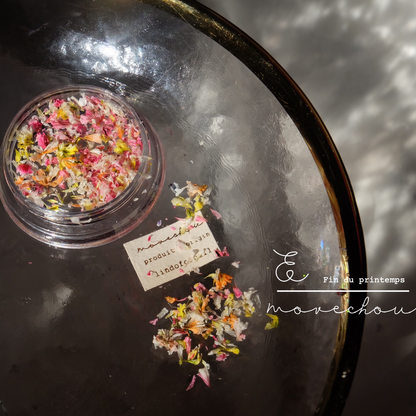 Colorful Mixed Dried Flower Nail Decorations