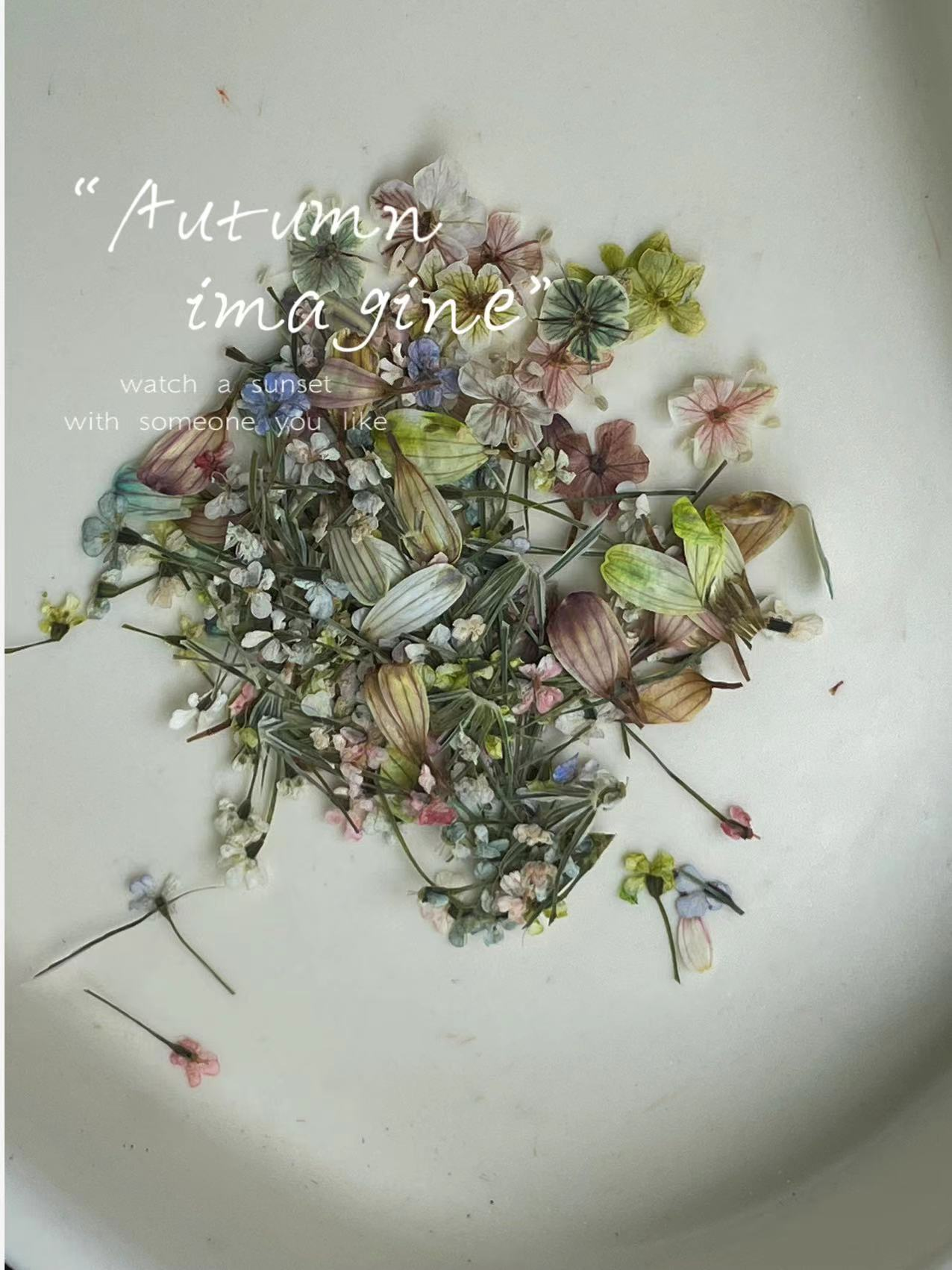 Dried Flower Nail Art Set - 3 Style